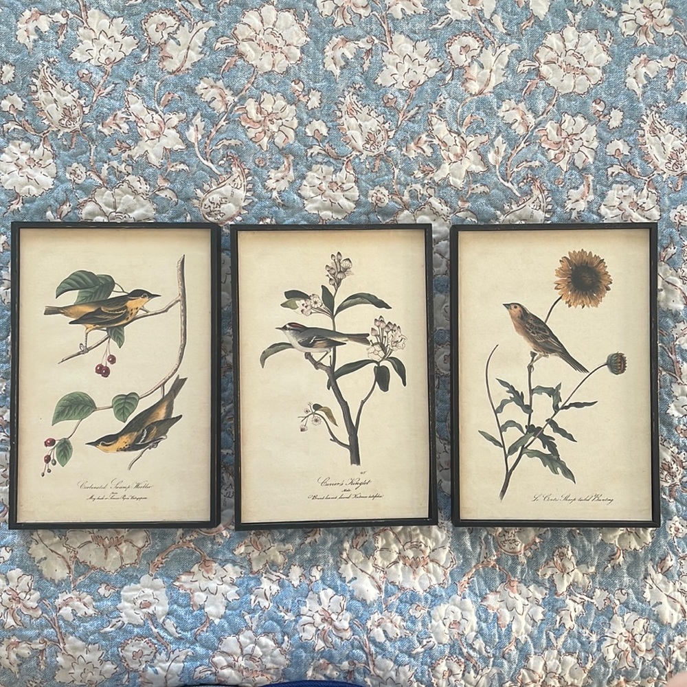 Bird Prints